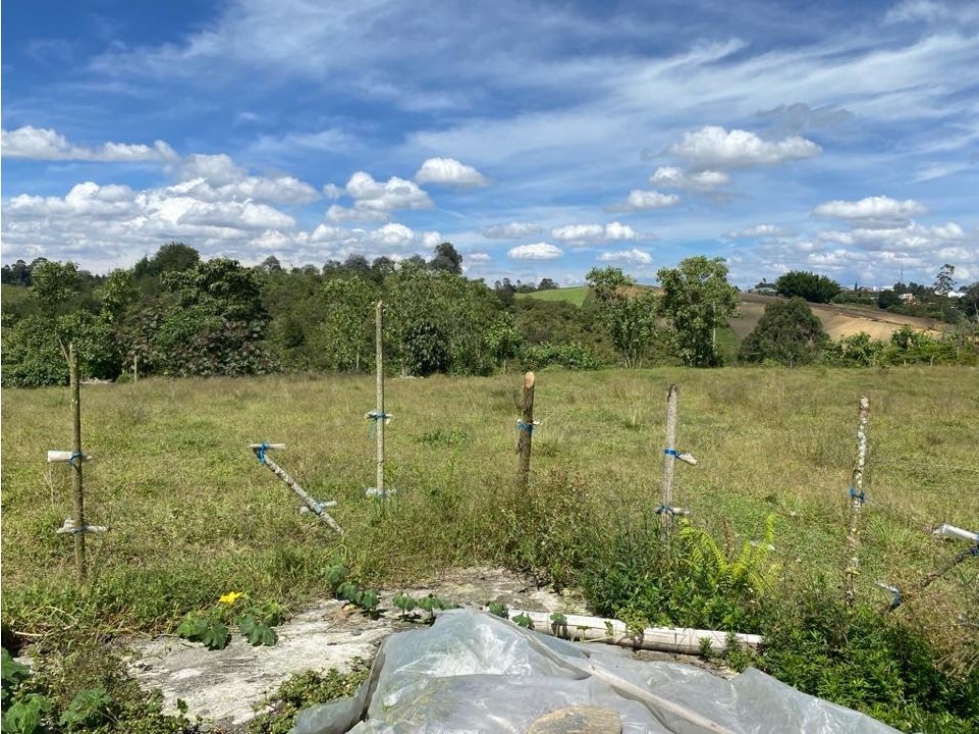 Lote de Uso Mixto para Venta Ideal para Inversionistas - 6