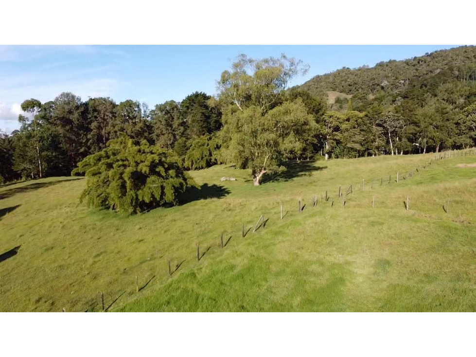 Lote en Arriendo en Llanogrande — foto 4