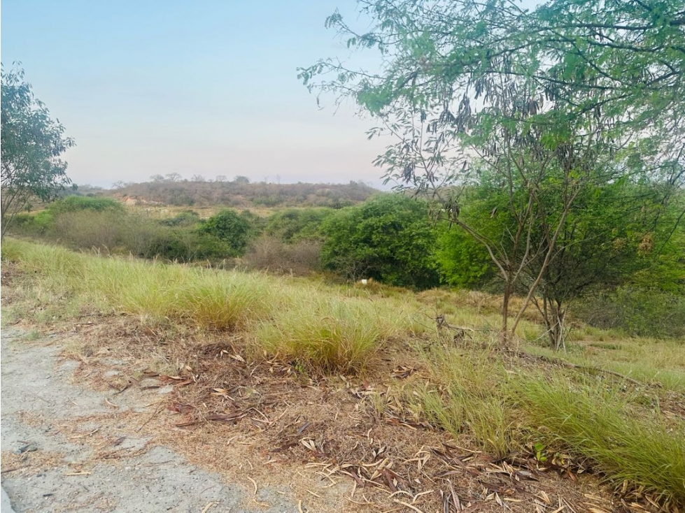 Lote pendiente negativa de venta dentro de Urb. Montecristi Golf Club. — foto 2