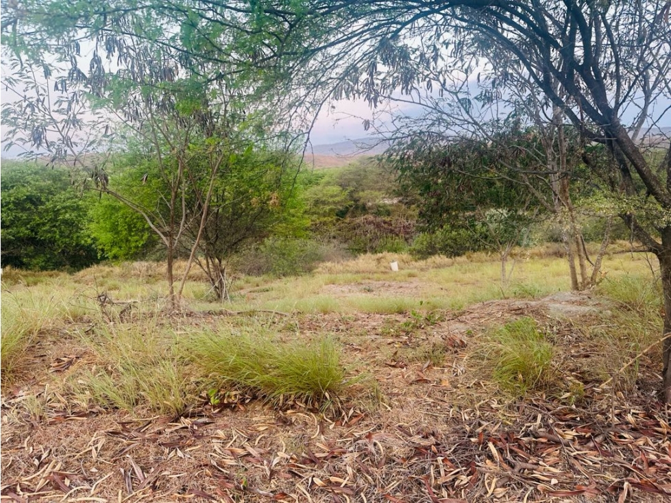 Lote pendiente negativa de venta dentro de Urb. Montecristi Golf Club. — foto 3