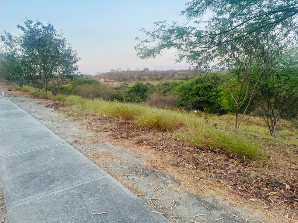 Lote pendiente negativa de venta dentro de Urb. Montecristi Golf Club. — foto 5