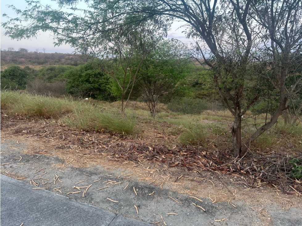 Lote pendiente negativa de venta dentro de Urb. Montecristi Golf Club. — foto 6