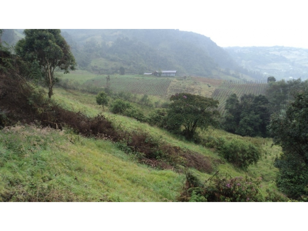 LOTE DENOMINADO SANTA BRIGIDA - 2