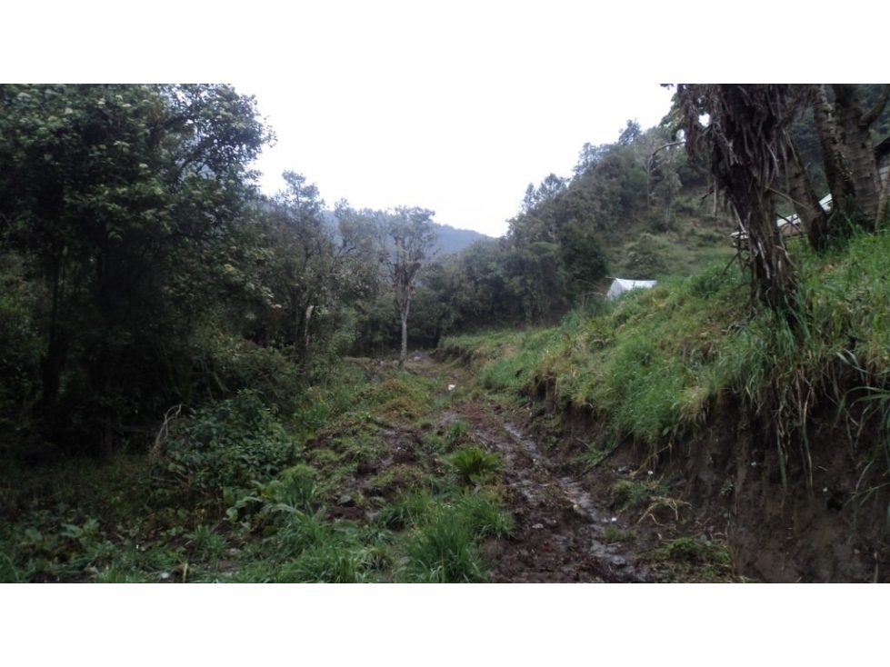 LOTE DENOMINADO SANTA BRIGIDA - 4