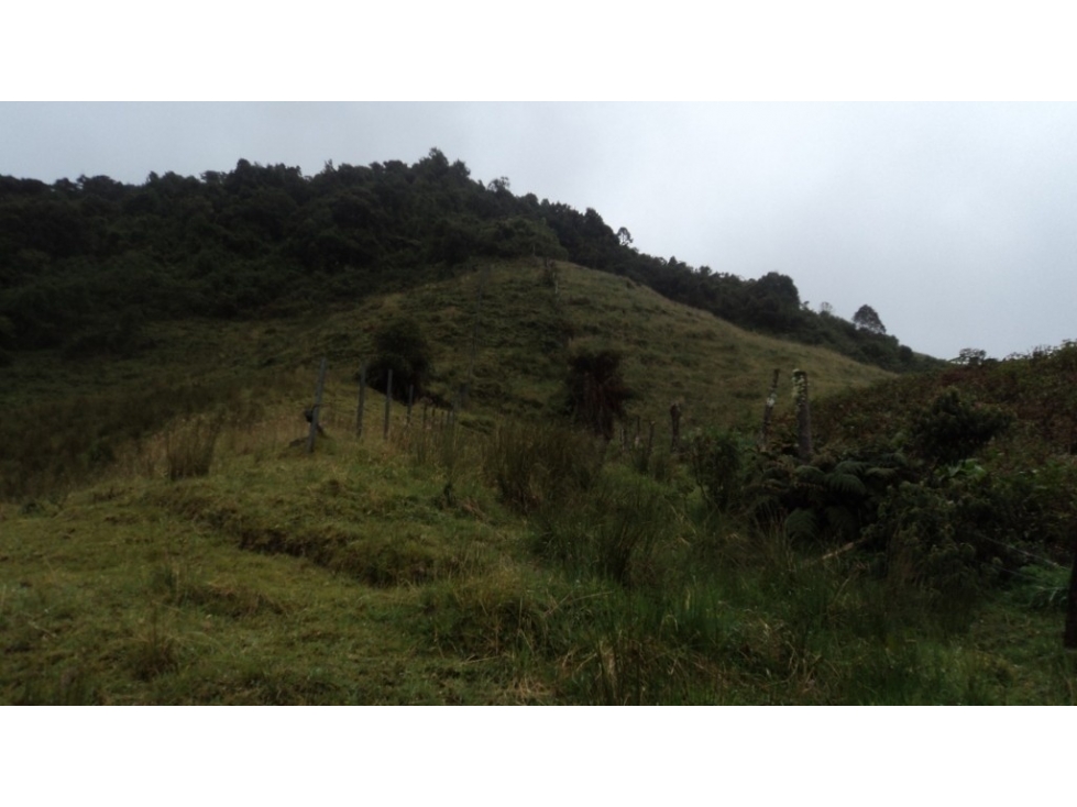 LOTE DENOMINADO SANTA BRIGIDA - 5