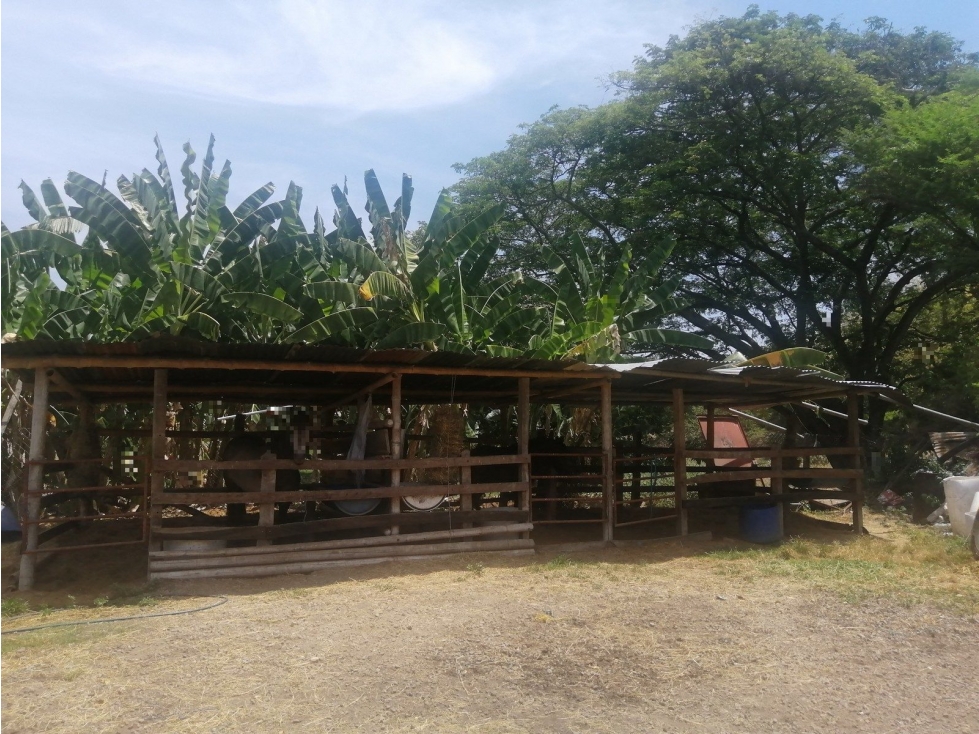 LOTE EL DANUBIO - 6