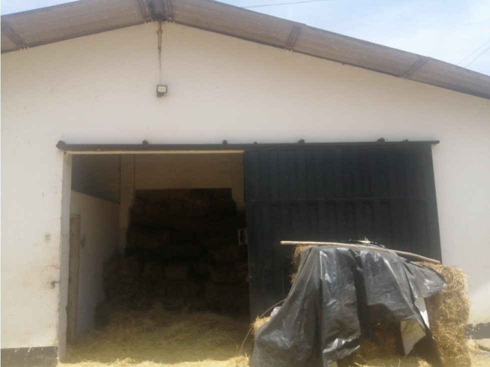 LOTE EL DANUBIO - 2