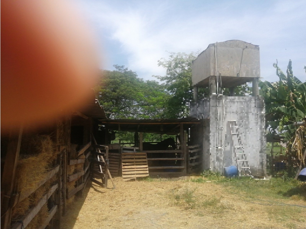 LOTE EL DANUBIO - 4