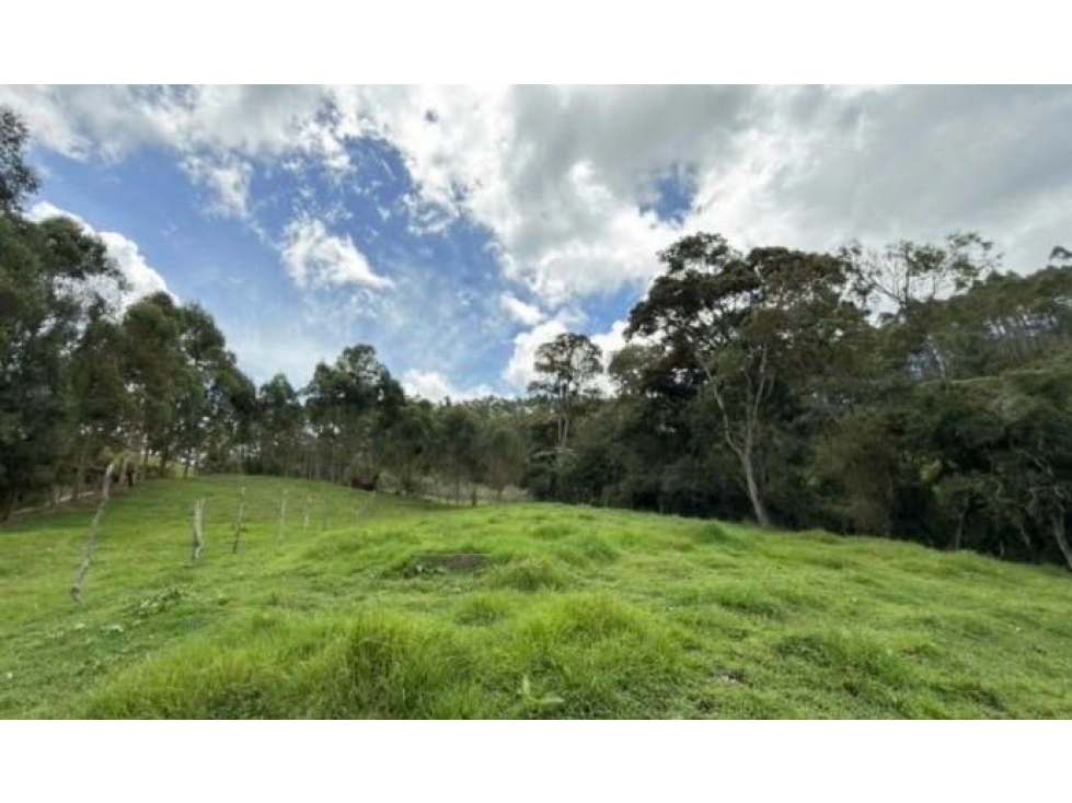 Lote | El Retiro | Vereda El Portento — foto 3