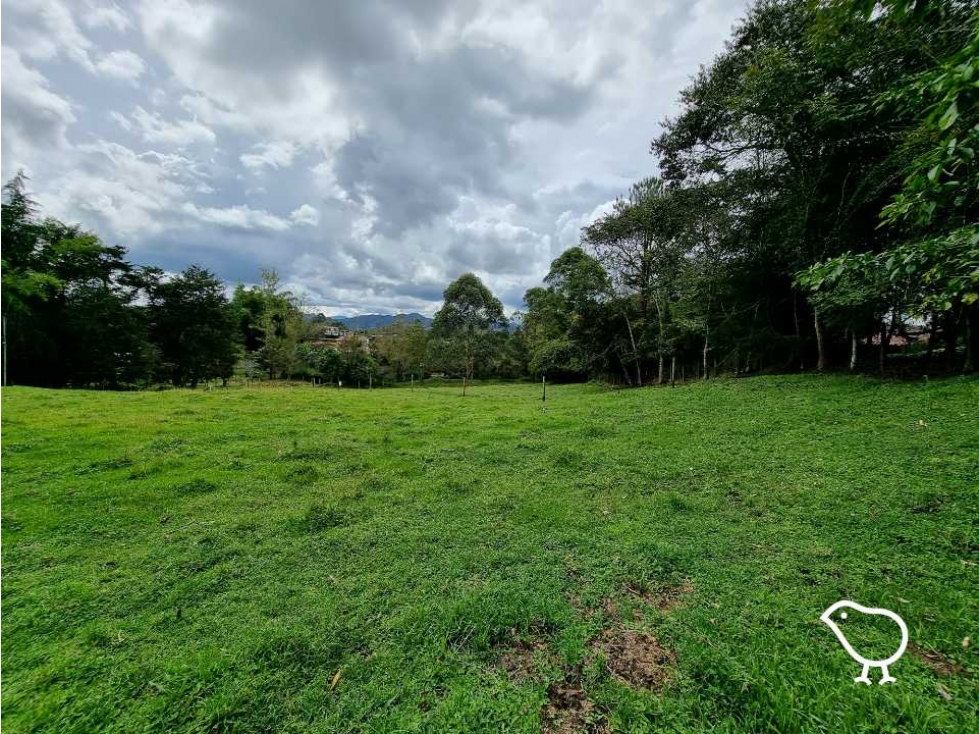 Lote El Yarumo - 1