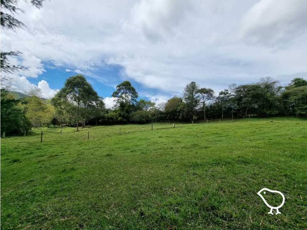 Lote El Yarumo - 2