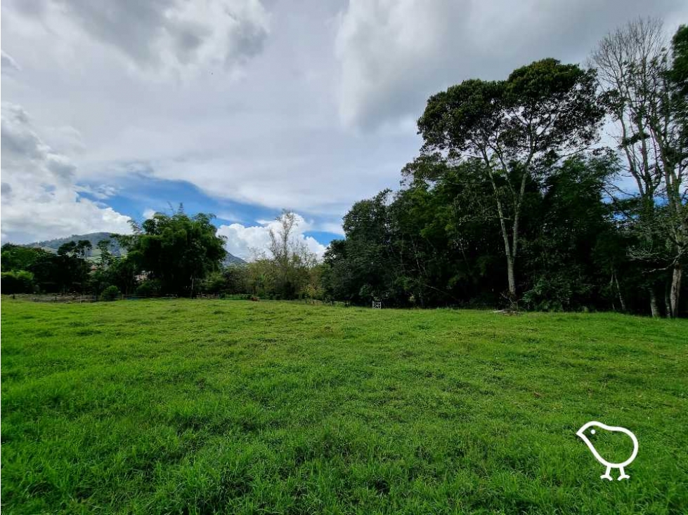 Lote El Yarumo - 3