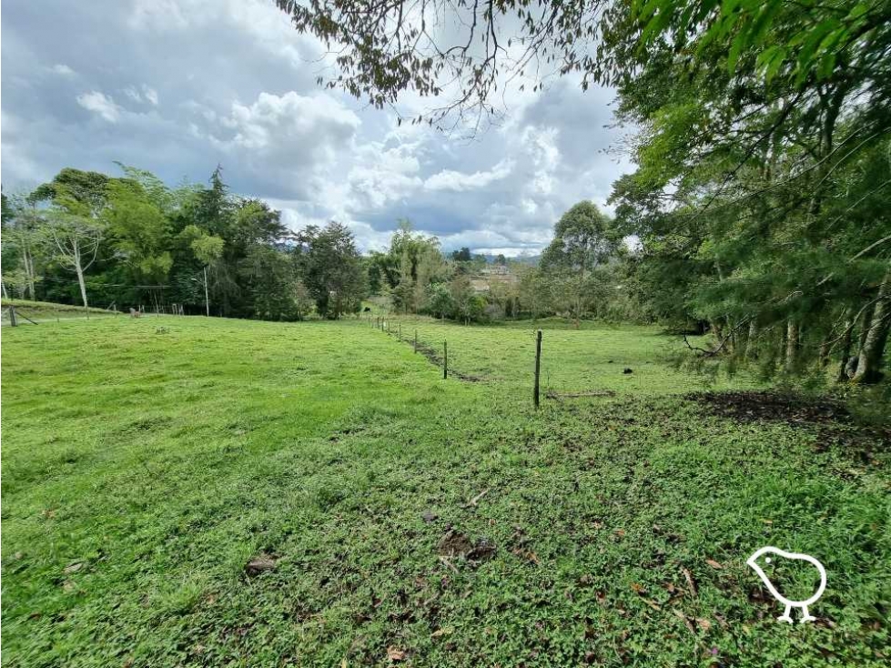Lote El Yarumo - 4