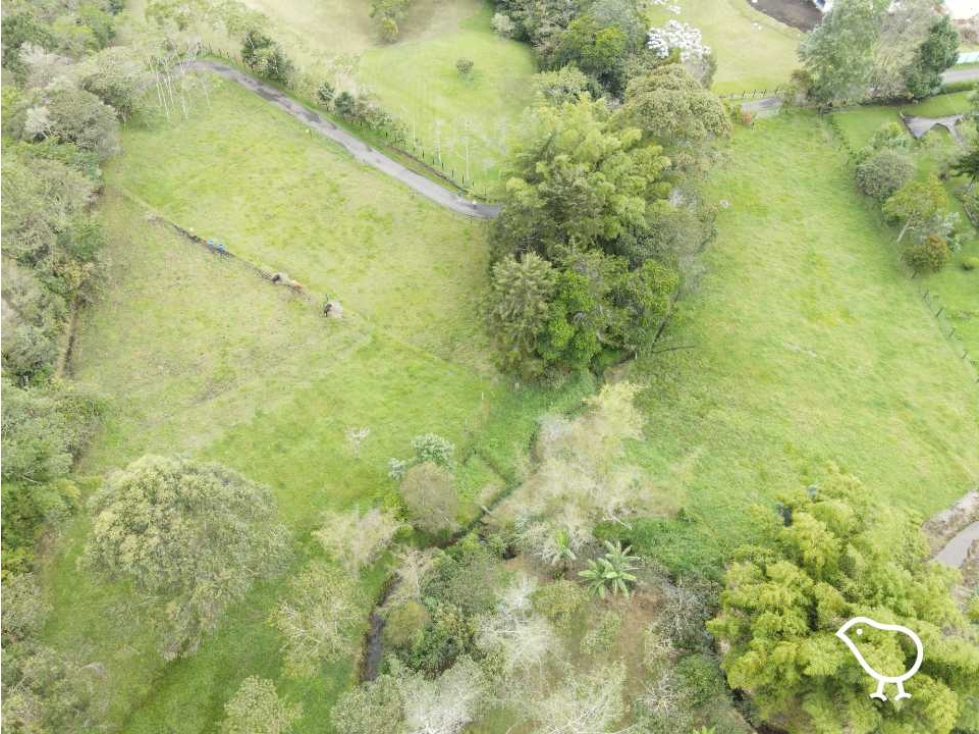 Lote El Yarumo - 6