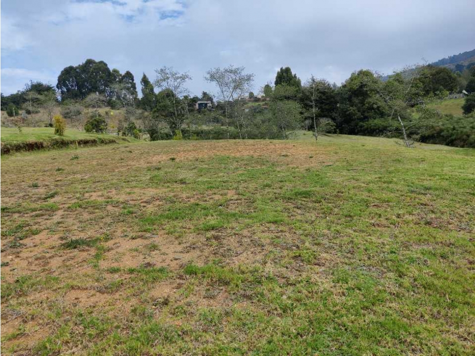 Lote en Alto de las Palmas