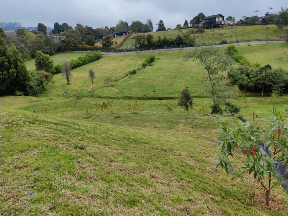 Lote en Alto de las Palmas — foto 2