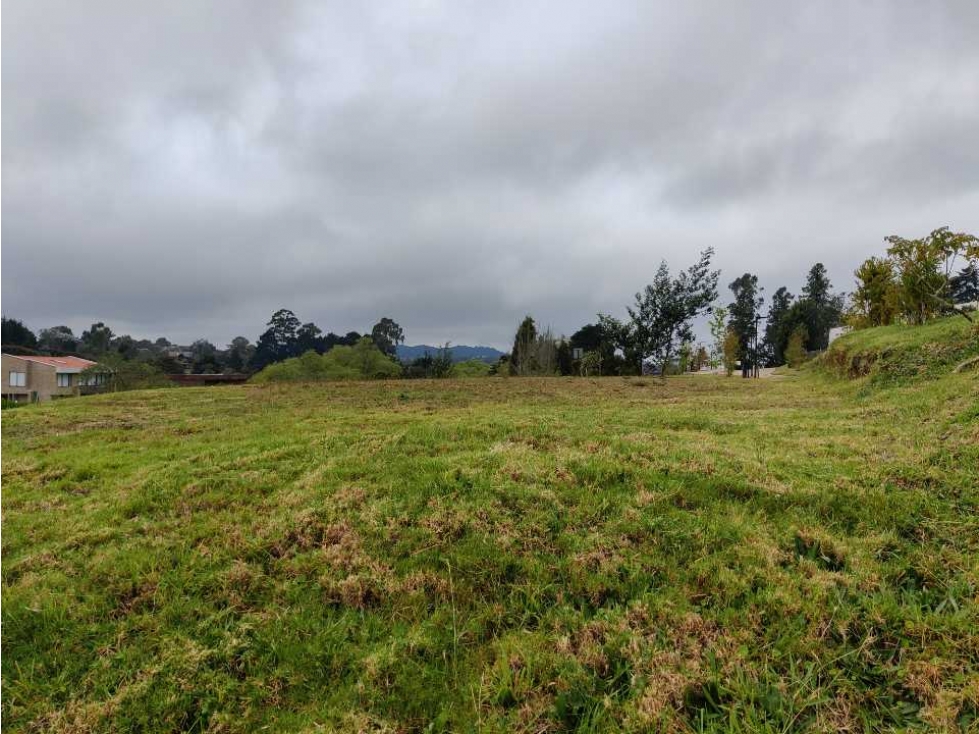 Lote en Alto de las Palmas — foto 3