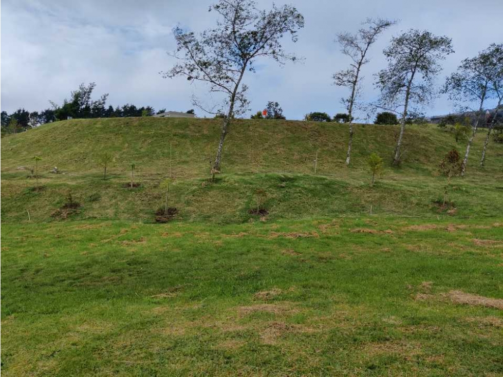 Lote en Alto de las Palmas — foto 4