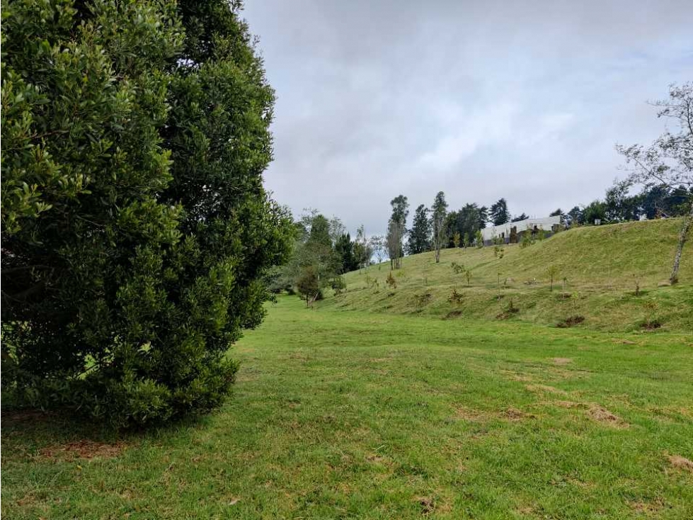 Lote en Alto de las Palmas — foto 5