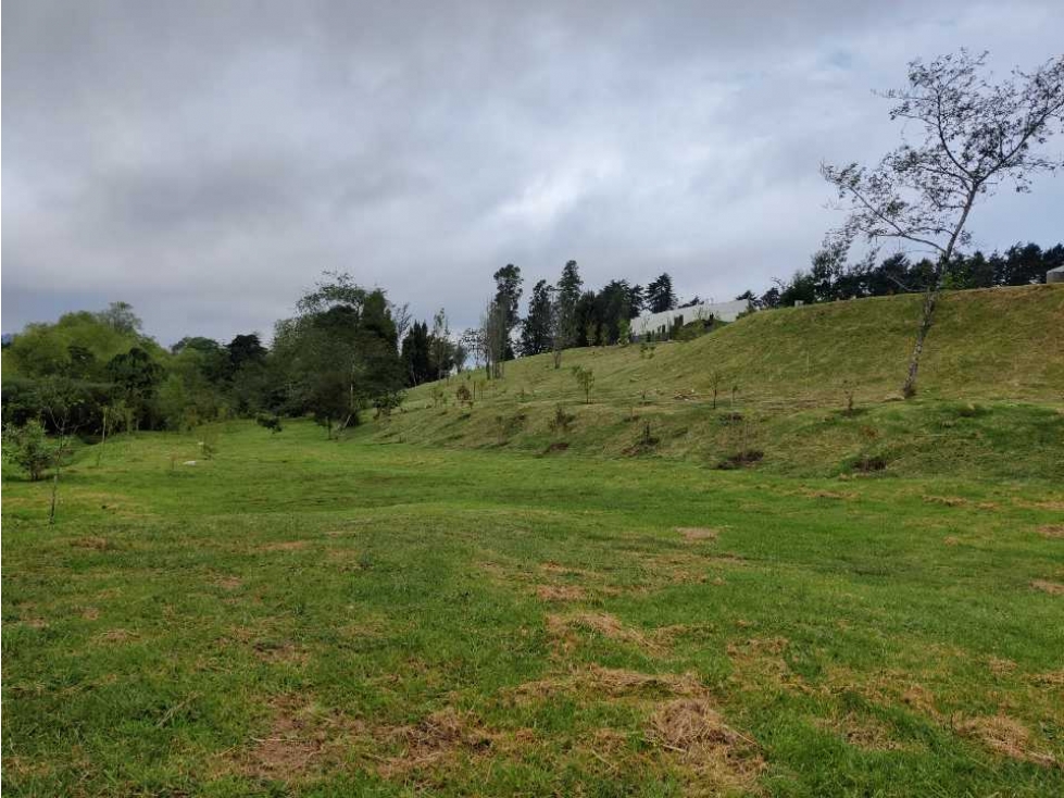 Lote en Alto de las Palmas — foto 6