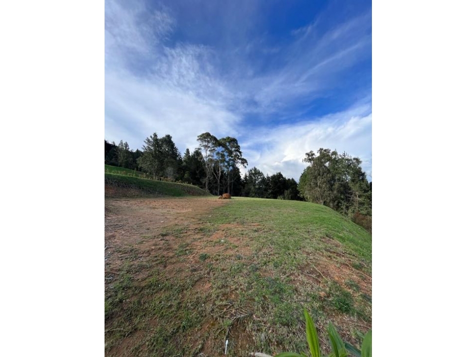Lote en Alto de Palmas