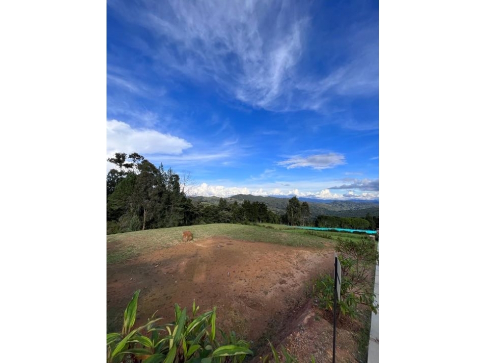 Lote en Alto de Palmas — foto 2