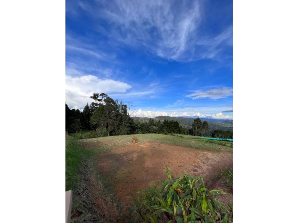 Lote en Alto de Palmas — foto 3