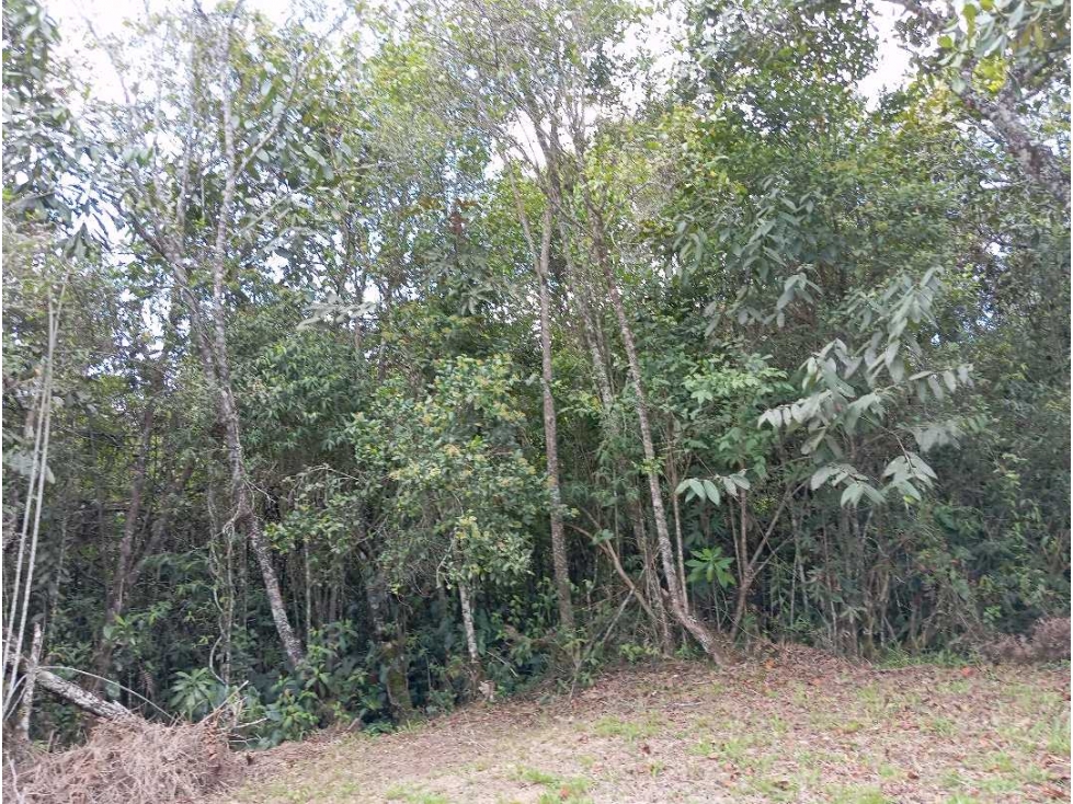 Lote en altos de la virgen Guarne en Parcelación — foto 3