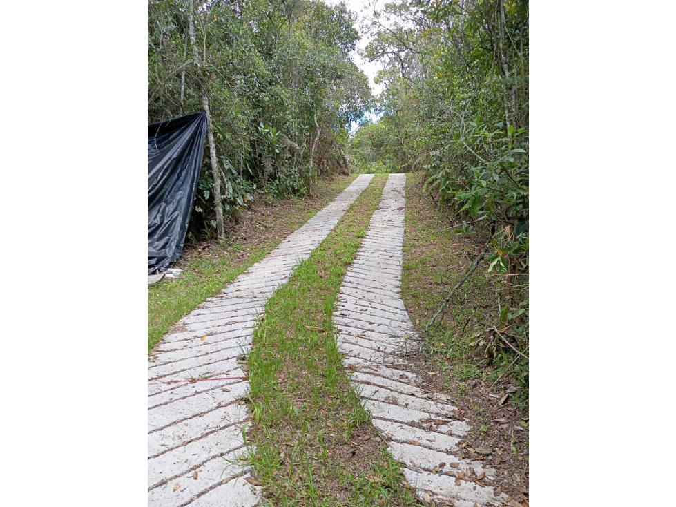 Lote en altos de la virgen Guarne en Parcelación — foto 4