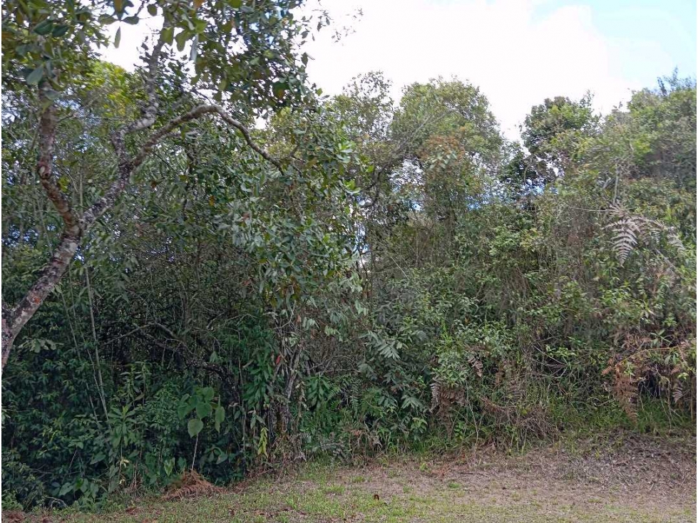 Lote en altos de la virgen Guarne en Parcelación — foto 5