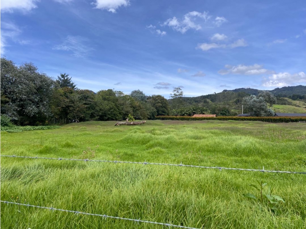 Lote en Arriendo en El Tablazo — foto 3