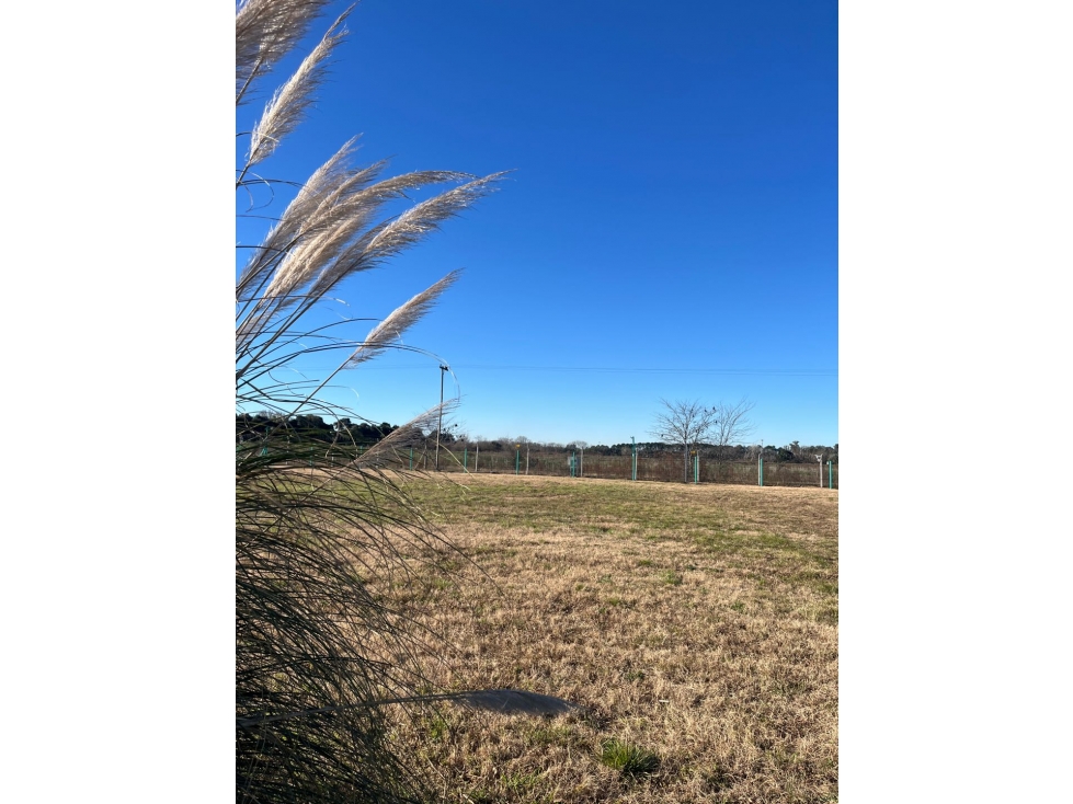 Venta de Lote en barrio cerrado Los Juncos, Luján — foto 3