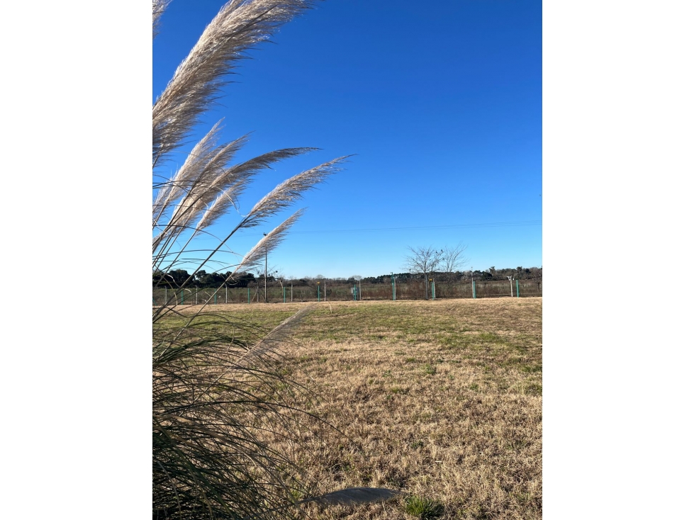 Venta de Lote en barrio cerrado Los Juncos, Luján — foto 4