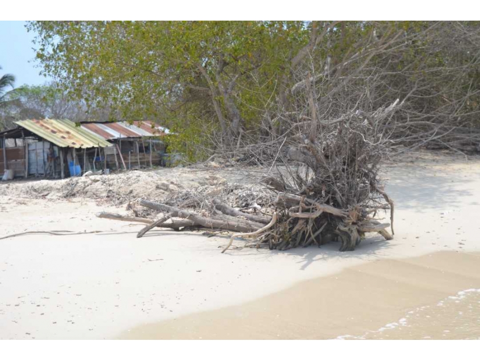 VENTA LOTE EN BARU — foto 5