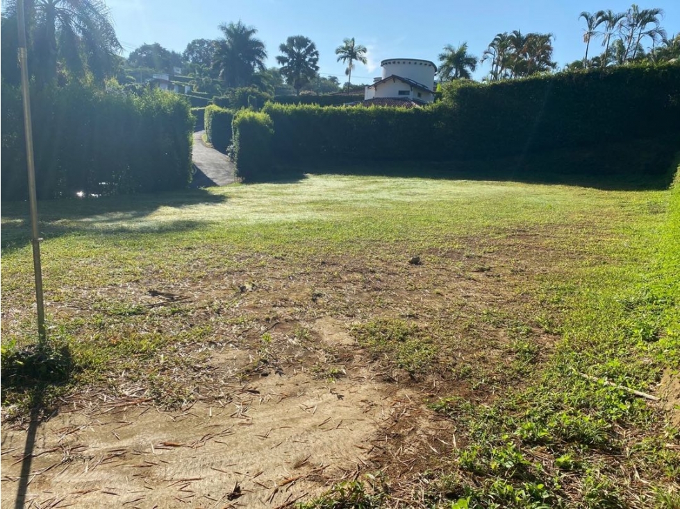 Oportunidad lote en Cerritos — foto 5