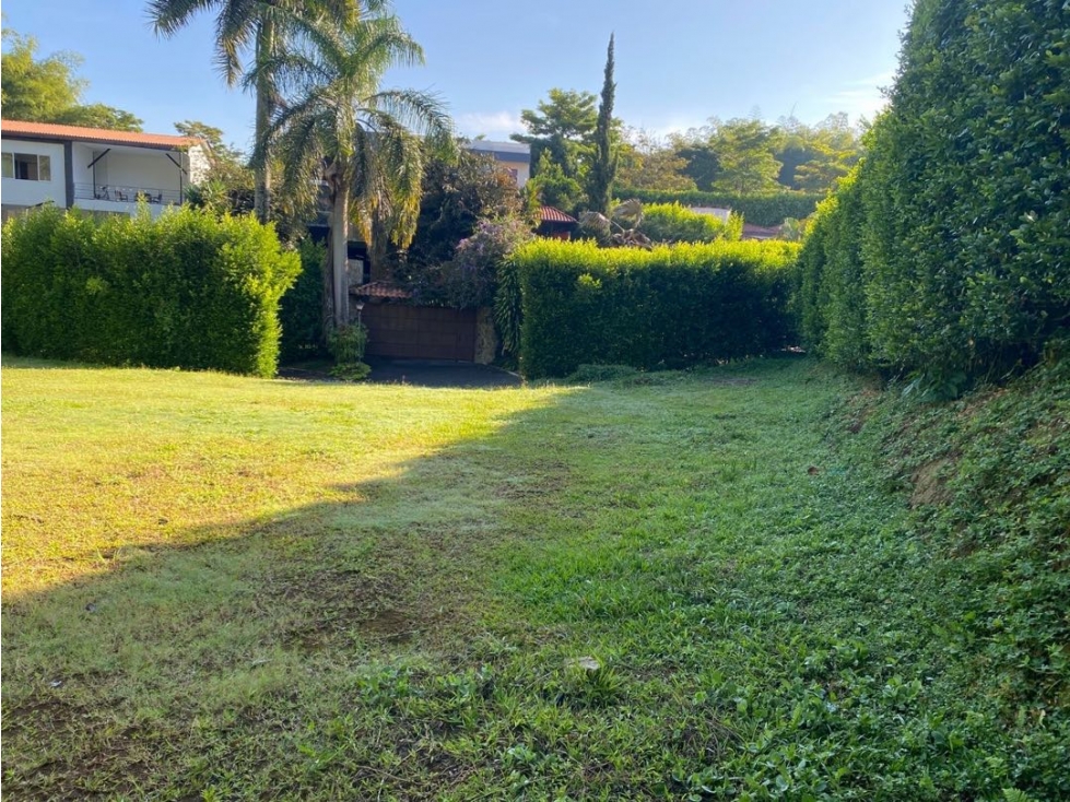 Oportunidad lote en Cerritos — foto 6