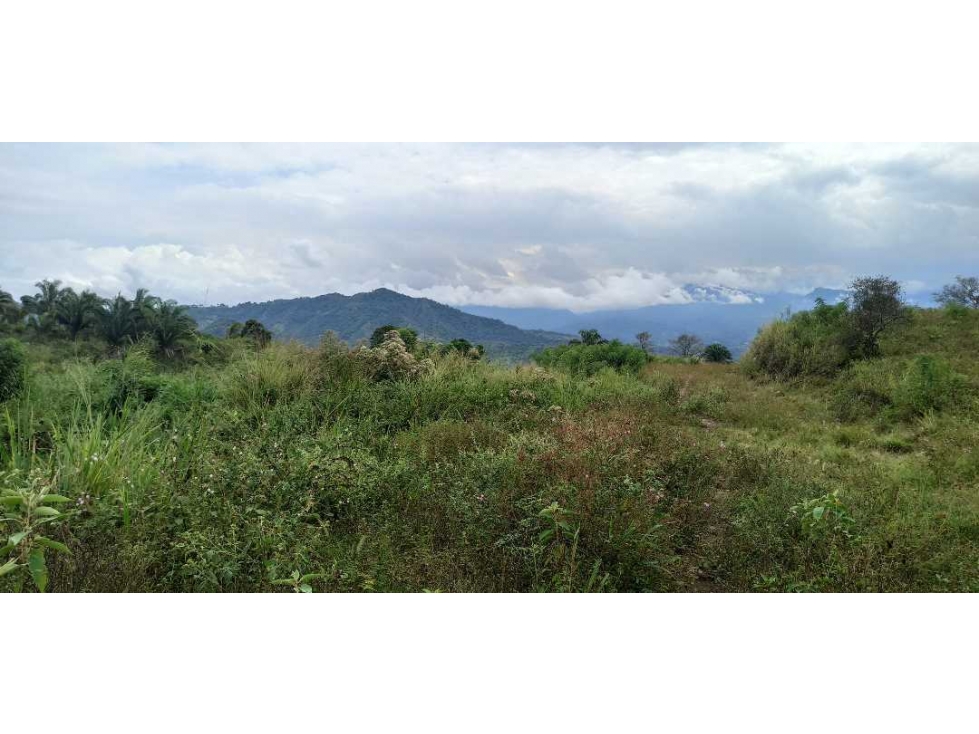 Lote En Condominio Campestre De 600 m² En La Mesa Cundi — foto 4