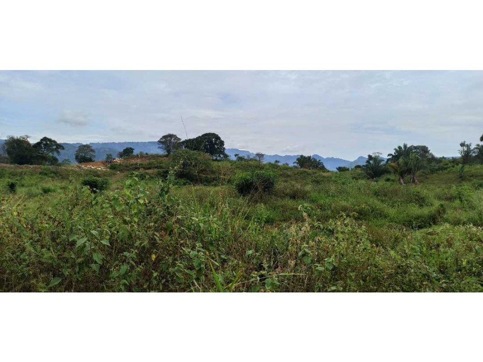 Lote En Condominio Campestre De 600 m² En La Mesa Cundi — foto 5