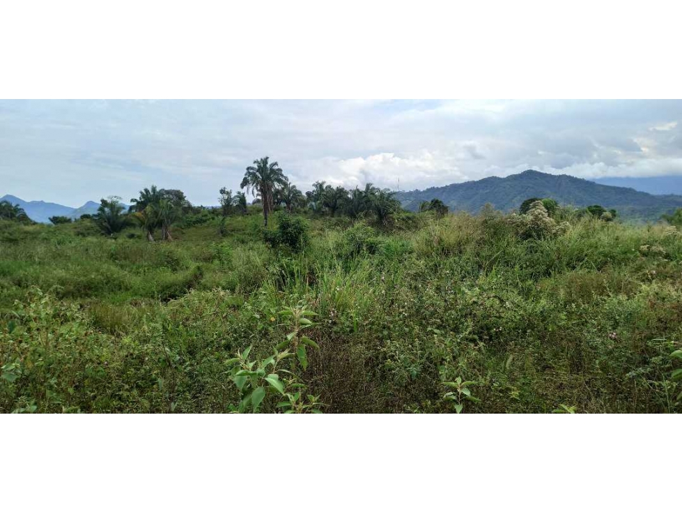 Lote En Condominio Campestre De 600 m² En La Mesa Cundi — foto 6