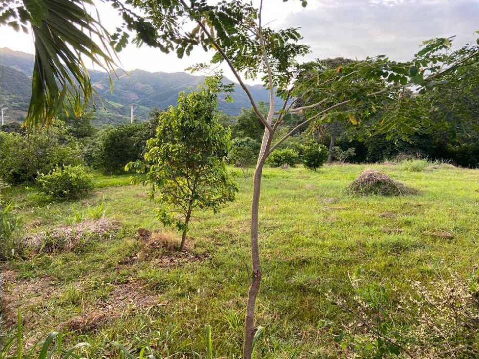 Lote En Condominio Campestre Monte Lagos En La Mesa Cundi - 2