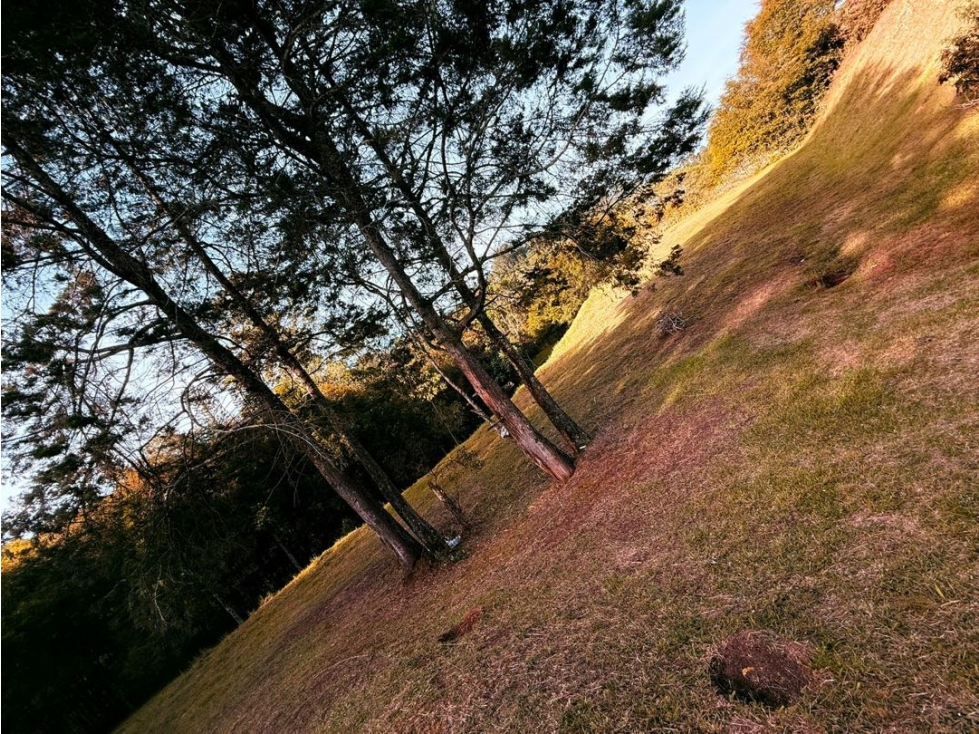 Lote en condominio Terrasanta — foto 4