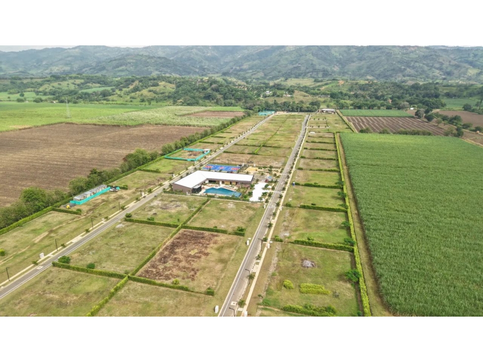 LOTE EN CONDOMINIO VITERBO-CALDAS - 4