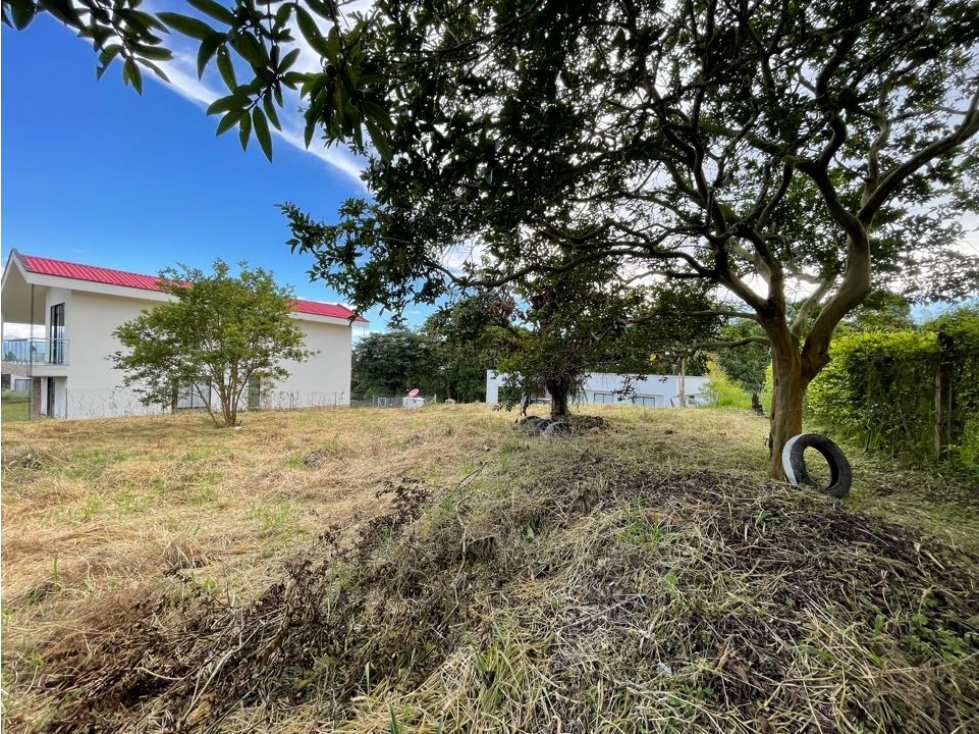 LOTE EN VENTA EN CONJUNTO AL NORTE DE ARMENIA VÍA CIRCASIA — foto 6