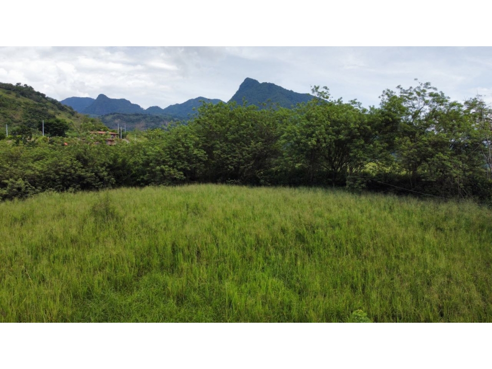 Lote en conjunto cerrado Venecia vía bolombolo suroeste - 1