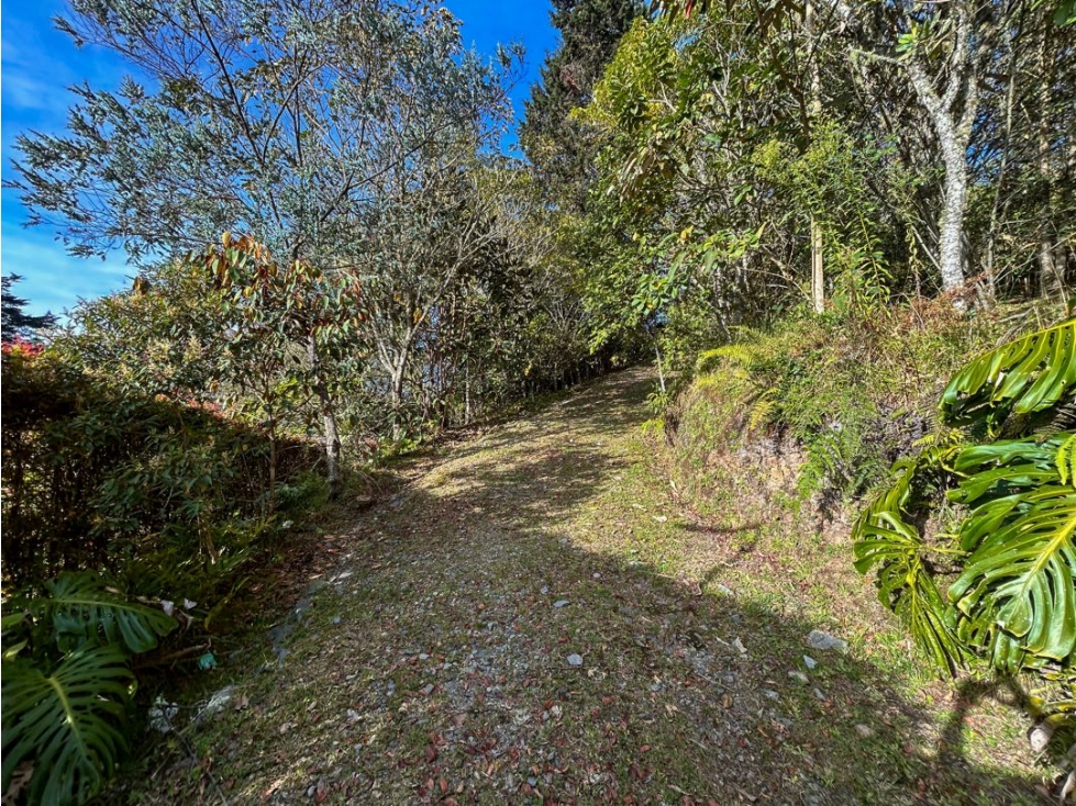 LOTE EN EL ALTO DE LAS PALMAS CON BOSQUE NATIVO — foto 2