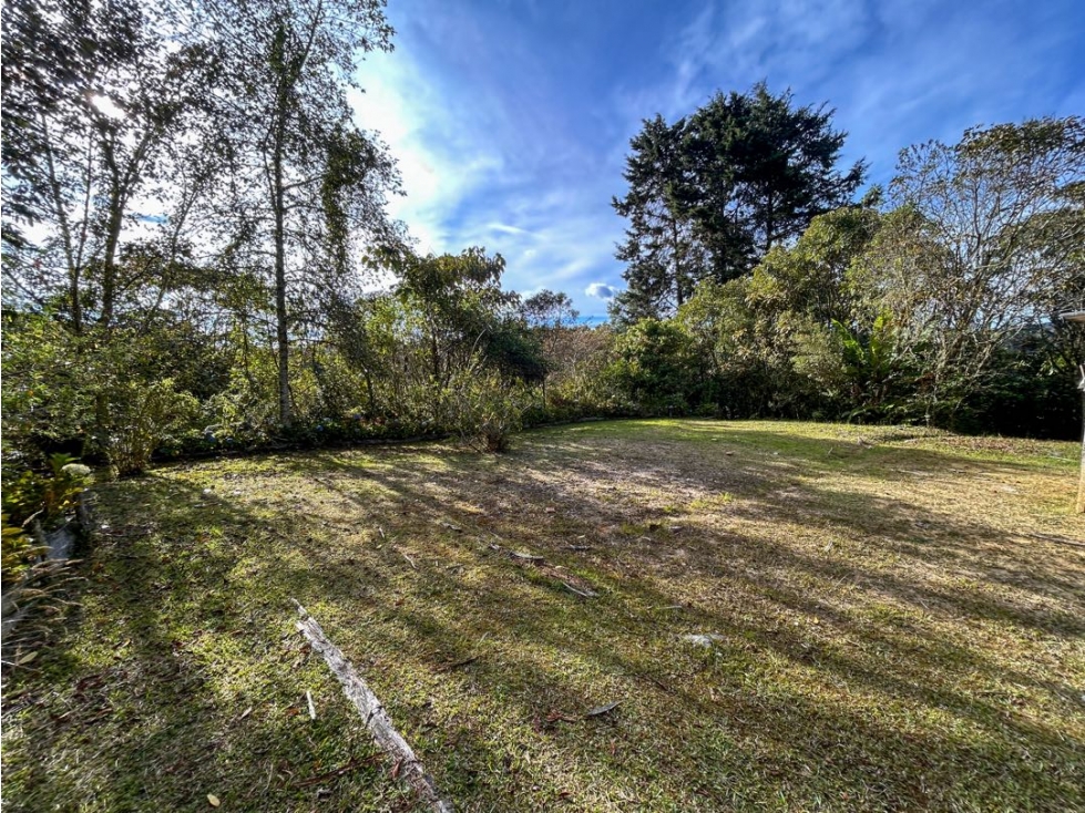 LOTE EN EL ALTO DE LAS PALMAS CON BOSQUE NATIVO — foto 3