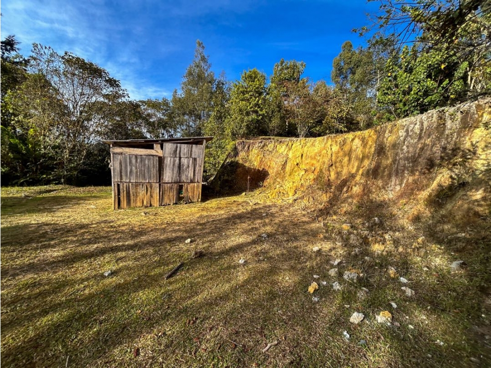 LOTE EN EL ALTO DE LAS PALMAS CON BOSQUE NATIVO — foto 4