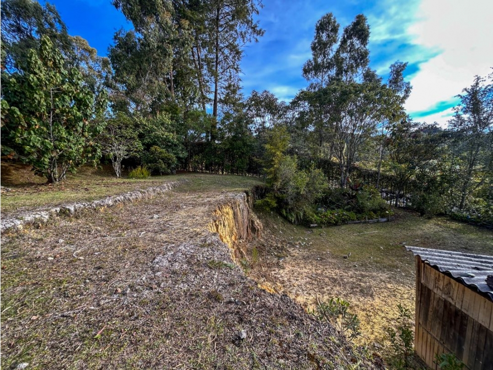 LOTE EN EL ALTO DE LAS PALMAS CON BOSQUE NATIVO — foto 5