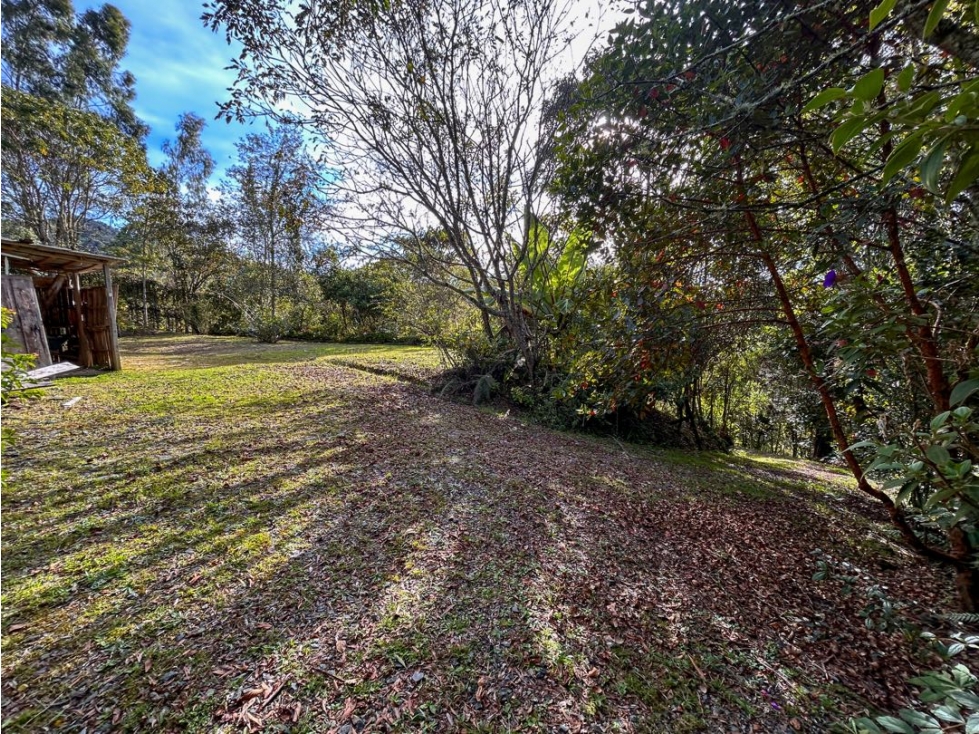 LOTE EN EL ALTO DE LAS PALMAS CON BOSQUE NATIVO — foto 6
