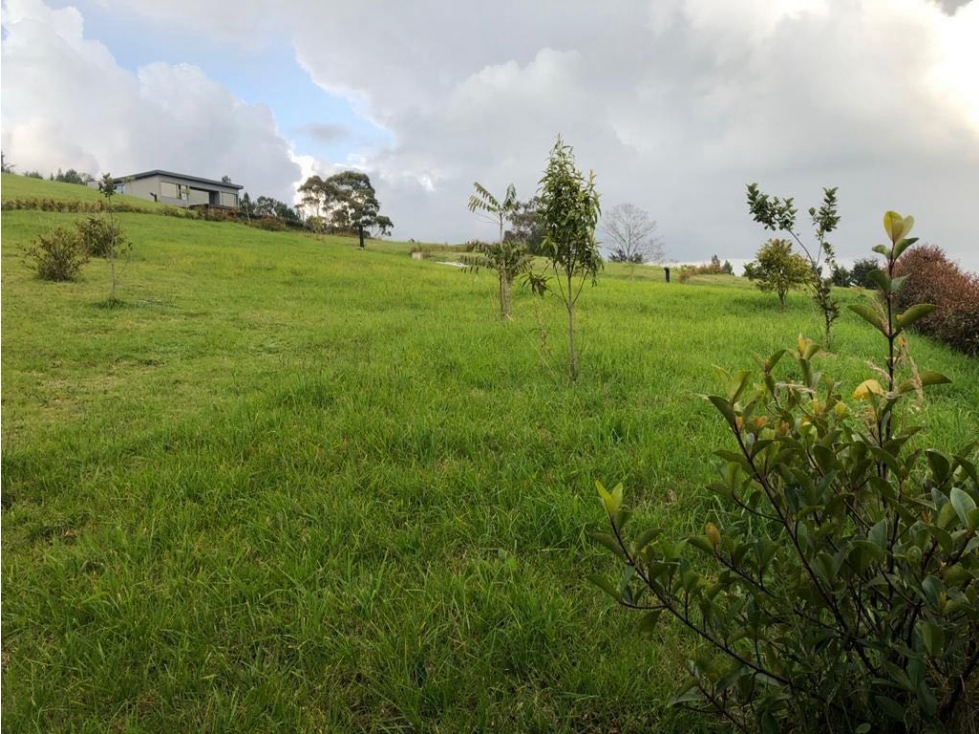 LOTE EN EL ALTO DE LAS PALMAS ANTES DEL PEAJE — foto 2